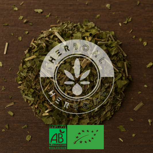 INFUSION JARDIN SECRET BIO