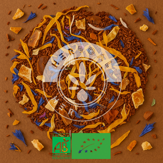 ROOIBOS PLAISIR EXOTIQUE BIO