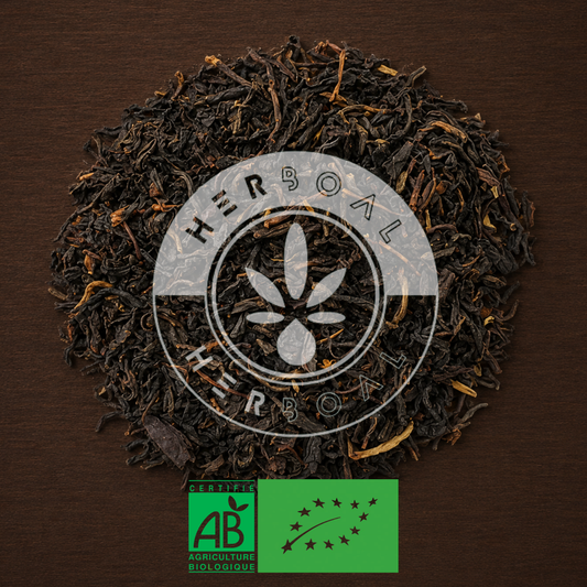 THÉ NOIR LAPSANG SOUCHONG BIO