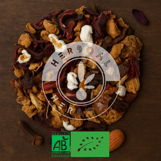 Infusion Cocooning Bio en vrac aux épices, orange et cannelle – Herboal