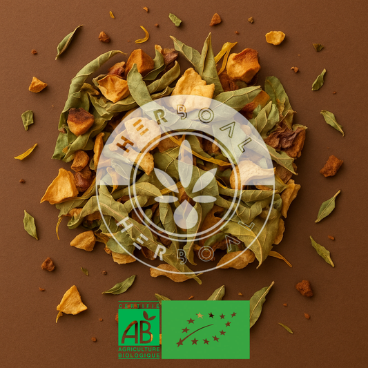 INFUSION BRISE DU SOIR BIO