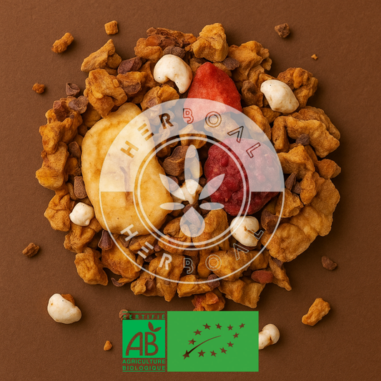 INFUSION GOURMANDISE D'ENFANCE BIO