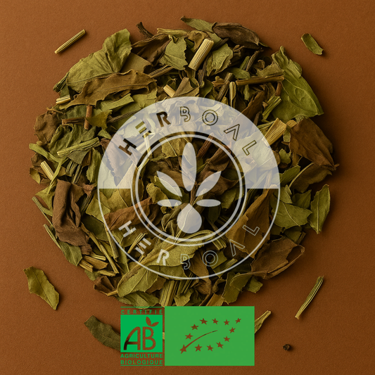 THÉ BLANC CITRON ROMARIN BIO